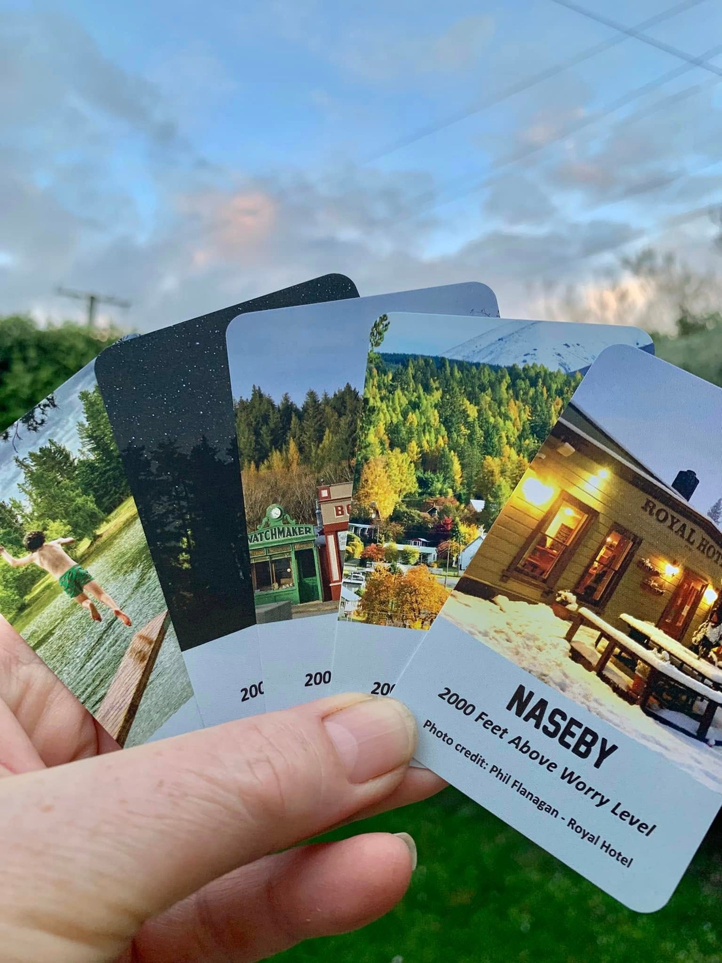 Naseby Playing Cards