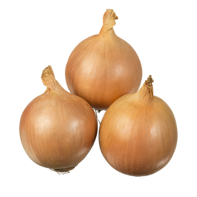 Brown Onion