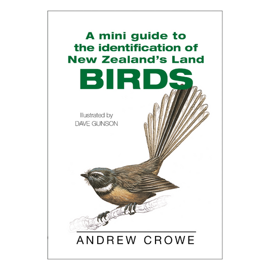 Mini Guide to NZ Birds