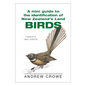 Mini Guide to NZ Birds