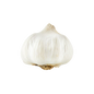 Garlic Bulb